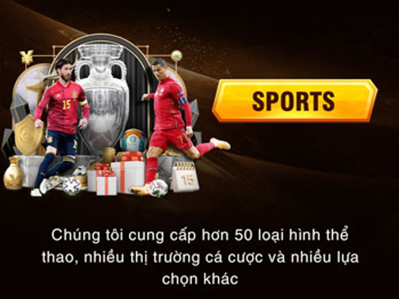 Cá cược thể thao tại xibet