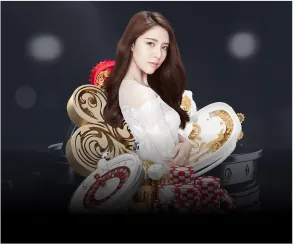 Hình ảnh minh họa thu thập dữ liệu người dùng tại Xibet